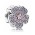 Pandora Charm-Silver Pink And Purple Cubic Zirconia Primrose