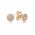 Pandora Earring-14ct Gold Radiant Elegance